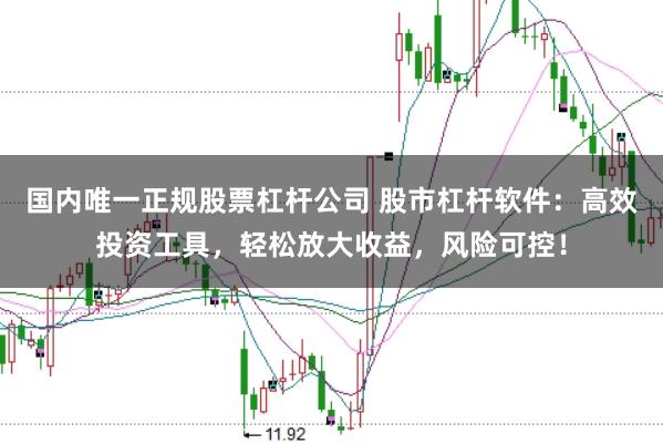 国内唯一正规股票杠杆公司 股市杠杆软件：高效投资工具，轻松放大收益，风险可控！
