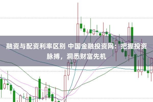 融资与配资利率区别 中国金融投资网：把握投资脉搏，洞悉财富先机