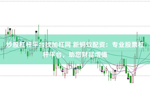 炒股杠杆平台找加杠网 新蚂蚁配资：专业股票杠杆平台，助您财富增值