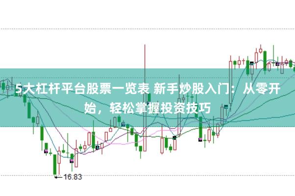 5大杠杆平台股票一览表 新手炒股入门：从零开始，轻松掌握投资技巧