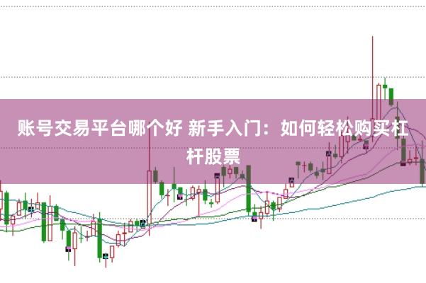 账号交易平台哪个好 新手入门：如何轻松购买杠杆股票