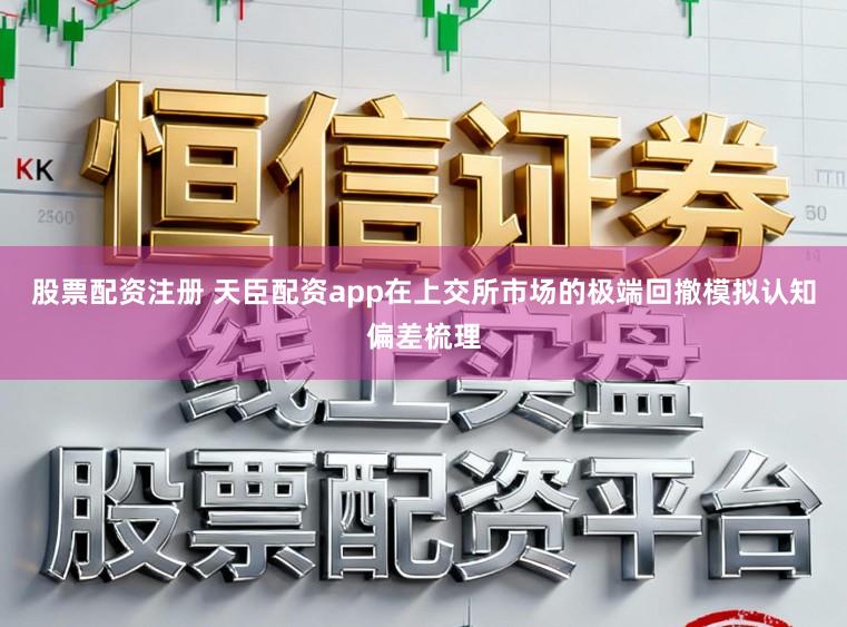 股票配资注册 天臣配资app在上交所市场的极端回撤模拟认知偏差梳理