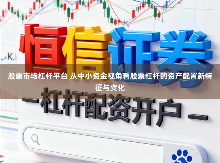 股票市场杠杆平台 从中小资金视角看股票杠杆的资产配置新特征与变化